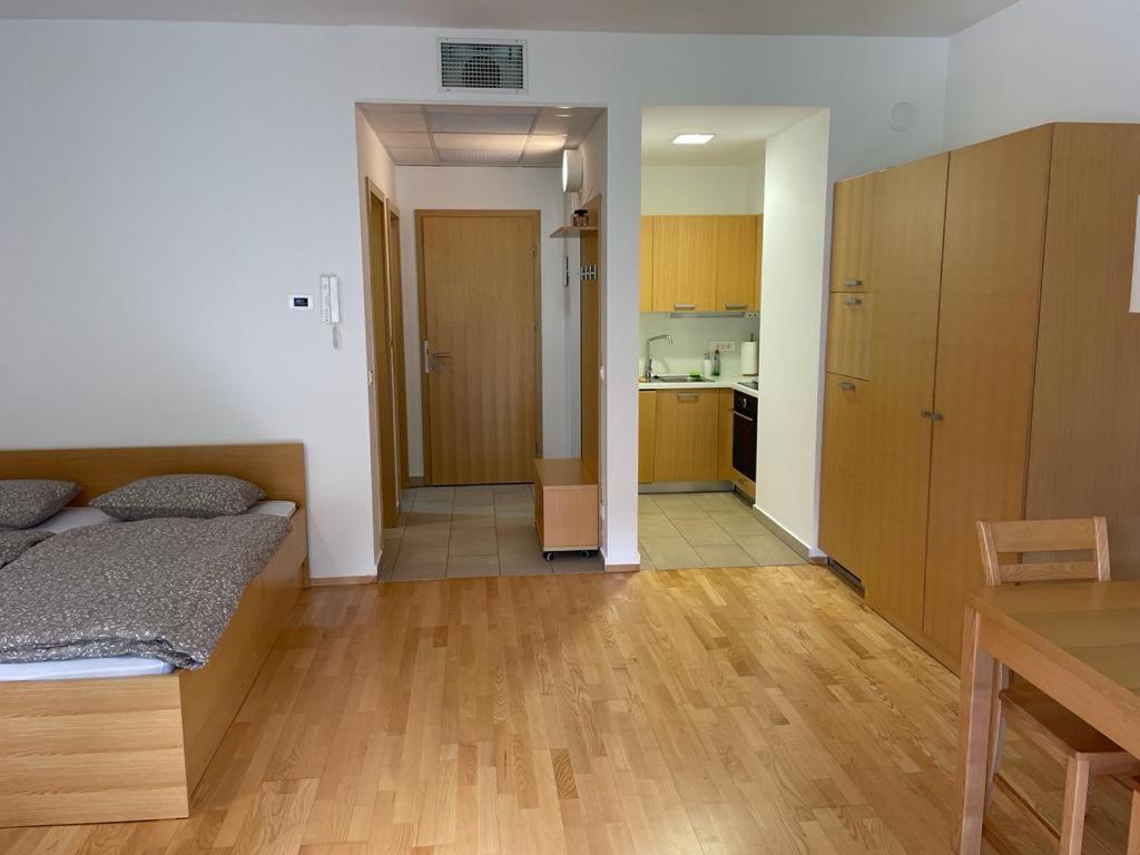 Апартаменты Casa Brut Premium Free Parking Марибор Экстерьер фото